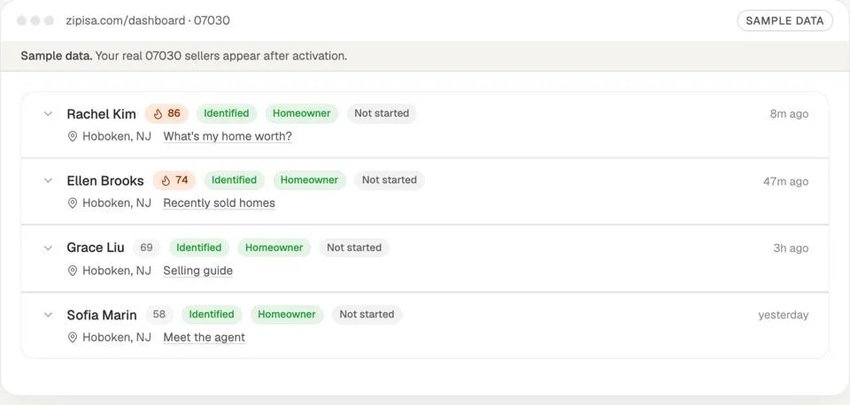 Website visitors identified, sample data